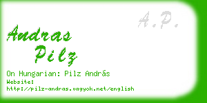 andras pilz business card